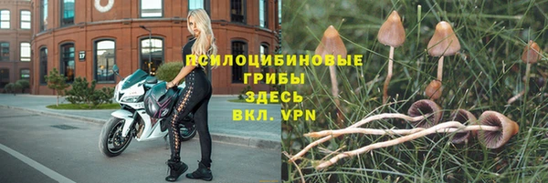ешки Алексеевка