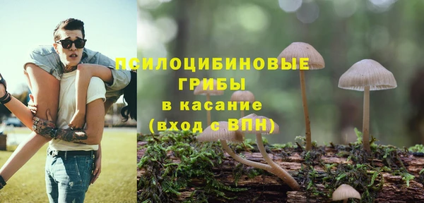 бошки Алзамай