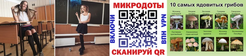 Галлюциногенные грибы Psilocybine cubensis  маркетплейс формула  мега рабочий сайт  Шумиха  даркнет сайт 